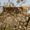 Valley of the Temples Agrigento Excursion - Auto Minibus Bus